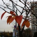 부천테크노파크 이미지