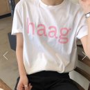 샷츠