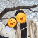 중랑천 | 캠핑 감성 고기집 방학동 싸전갈비 솔직 후기 (feat. 중랑천 벚꽃 데이트, 1인 운영 리얼 후기)