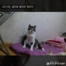 영진건강원 - 제천시 용두천로 73-3 | 영진건강원
