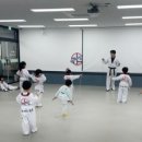 위너태권도장 이미지