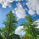 소백 일출 사진 이미지
