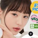 세미세라믹 이미지