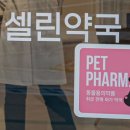 셀린약국 이미지