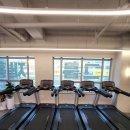 슈퍼맨짐 | 새해에는 내 몸 제대로 가꾸기가 목표! 대화역헬스장 슈퍼맨짐 피티 후기