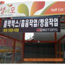 셀세모용인