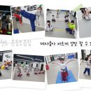 움찬태권도 이미지