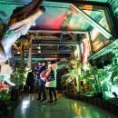 광명동굴 공룡체험전 이미지