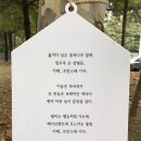 평촌도서관 앞 이미지