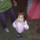 자리주삼PC | [릭소의 017 캠핑 이야기] '13.06.01~06.02 가평 자라섬오토캠핑장 (코베아캠핑페스티벌)