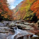 연못들4 이미지