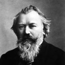 하이펫츠 이미지