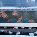 군산 은모래해물탕.아구찜 이미지