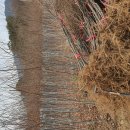 느티농원 이미지