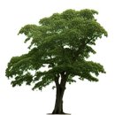 라온태권도장 이미지