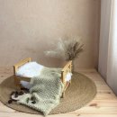 뉴본의원 | 전주 한나조리원 연계 한나스튜디오 뉴본 50일 무료촬영 후기