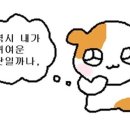 메리아일랜드
