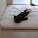 박종철한의원 이미지