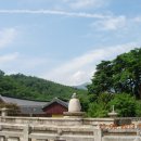 통도사자비원 이미지