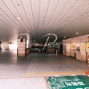 강남-158 이미지