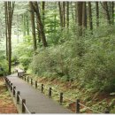 복지공릉충전소 이미지