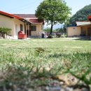 나무민박 이미지