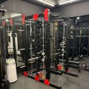 아미쿠스짐 이미지