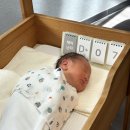 빠라삐리뽕 | 2025년 수호의 산후조리원 후기