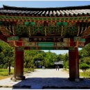 선운사꽃무릇 이미지