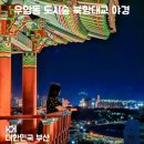도시와숲 | 우암부산 우암동 도시숲 야경 후기｜부산항대교가 한눈에 보이는 부산 야경 명소