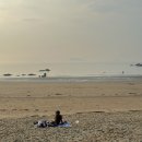 학암포하늘 | 태안 여행 가성비 숙소 펜션 학암포해수욕장 근처 학암포하늘펜션 후기 갯벌체험가능 낚시배예약 가능