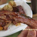 산책갈까 이미지