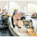 종일코스 이미지