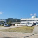 삼십팔점오 이미지