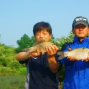 중부낚시터 이미지