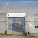 들꽃하우스 이미지