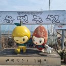 유영농장 이미지