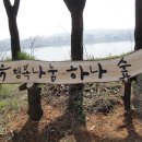 금예촌