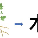 수풀林 이미지