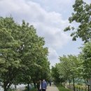 충북상회 - 안성시 중앙로372번길 18 | 충북상회