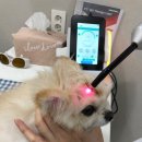 서현동물병원 이미지