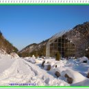 바우길 6구간 이미지