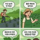 청정건강몰
