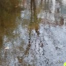 상동도서관 이미지