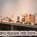 국립신불산폭포자연휴양림 이미지