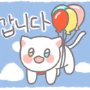 용인대 아리솔 태권도장 이미지