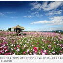 고향역 Daum카페