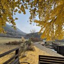 신당리마을회관 이미지