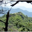 시루시루7