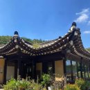 민들레울 이미지